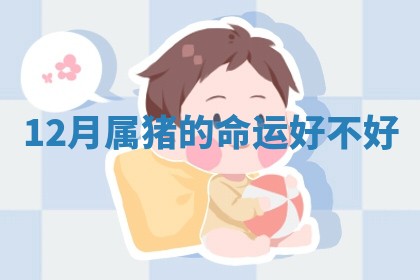 赵姓男宝宝起名大全：2026年01月19日生辰八字喜用神分析