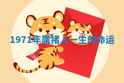 赵姓男宝宝起名大全：2026年01月19日生辰八字喜用神分析