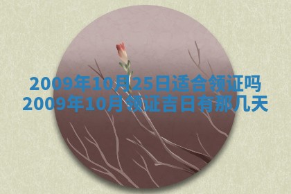 白姓女宝宝起名大全：2026年02月25日生辰八字喜用神分析