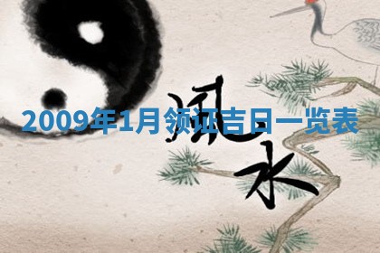 白姓女宝宝起名大全：2026年02月25日生辰八字喜用神分析