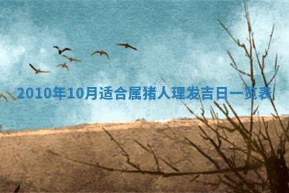 2026年01月20日打麻将打麻将财神吉位,打牌朝向查询