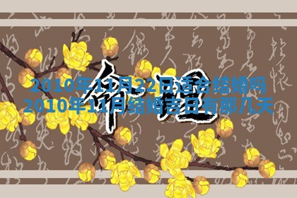 毛姓2026/03/19出生女宝宝起名全攻略：名字推荐与禁忌字分析