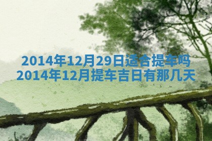 夏姓男宝宝名字精选：2026年02月03日生辰八字起名技巧