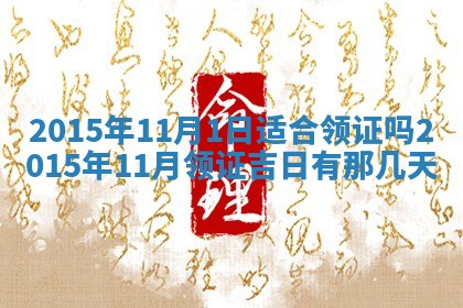 夏姓男宝宝名字精选：2026年02月03日生辰八字起名技巧