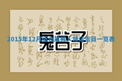 夏姓男宝宝名字精选：2026年02月03日生辰八字起名技巧