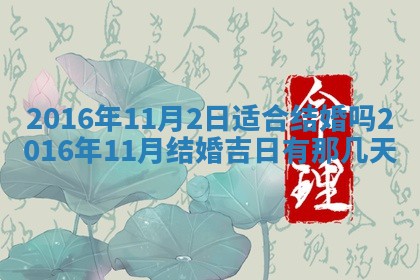 八字五行与贾姓：2026年02月02日出生女宝宝的理想名字分析