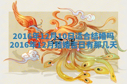 八字五行与贾姓：2026年02月02日出生女宝宝的理想名字分析