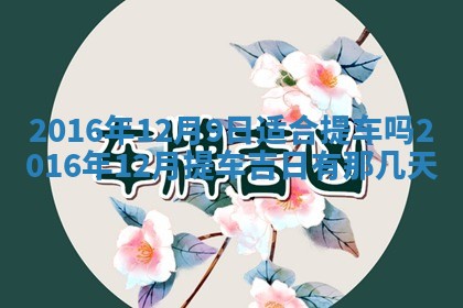 八字五行与贾姓：2026年02月02日出生女宝宝的理想名字分析