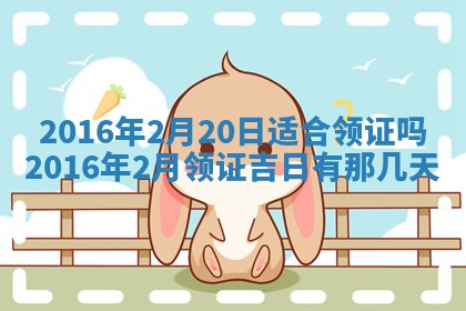 八字五行与贾姓：2026年02月02日出生女宝宝的理想名字分析