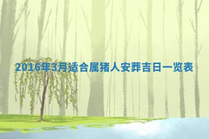 夏姓男宝宝名字精选：2026年02月03日生辰八字起名技巧