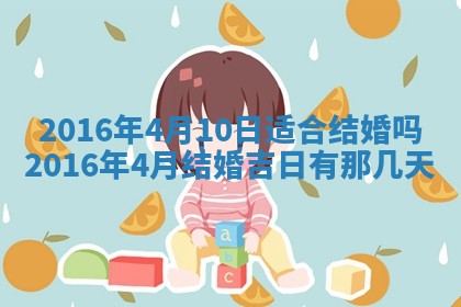 八字五行与贾姓：2026年02月02日出生女宝宝的理想名字分析