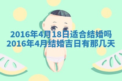 八字五行与贾姓：2026年02月02日出生女宝宝的理想名字分析