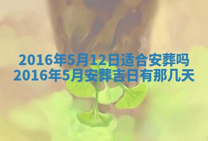 杨姓男宝宝取名大全：2026年03月23日出生的宝宝名字推荐