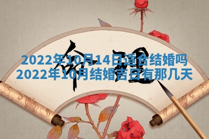 2025年12月24日打麻将各时辰财神吉位查询