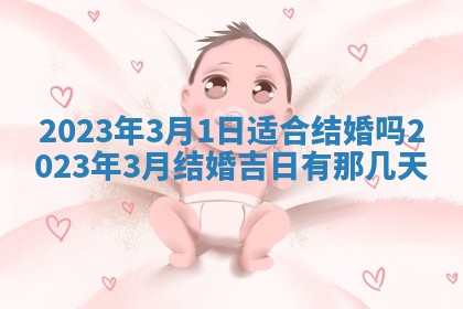 曹姓2026年01月29日出生的女宝宝取名攻略：名字怎么取才吉利？