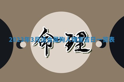 潘姓女孩子名字推荐：2026年03月03日出生宝宝的吉祥起名