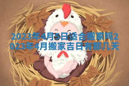 2025年12月21日打麻将在哪个方向详解