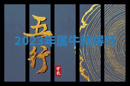 2025年12月12日打牌财神方位