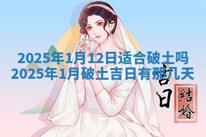 今日万年历2025年6月23日动土吉日,动土好日子查询