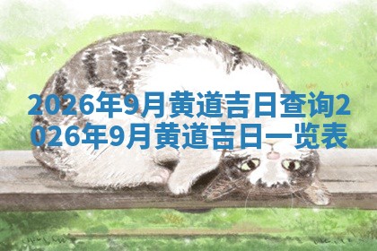 2025年12月12日打牌财神方位