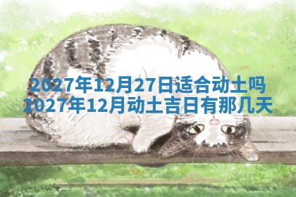 2025年12月21日打麻将在哪个方向详解