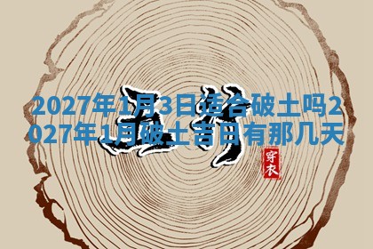 农历2025年五月廿八黄历：今天适宜定婚吗