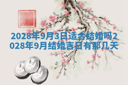 潘姓女孩子名字推荐：2026年03月03日出生宝宝的吉祥起名