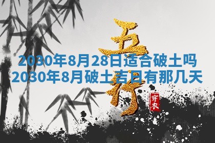 段姓2026年01月28日出生的男孩子命理分析与起名攻略