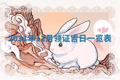 段姓2026年01月28日出生的男孩子命理分析与起名攻略