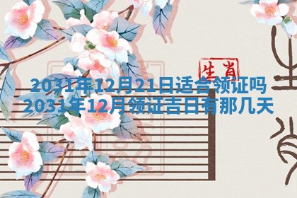 2026年03月01日出生谢姓女宝宝八字五行取名禁忌与建议