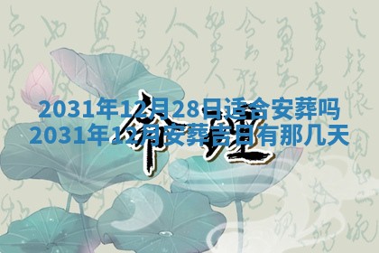 2026年03月01日出生谢姓女宝宝八字五行取名禁忌与建议