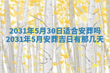 2026年03月01日出生谢姓女宝宝八字五行取名禁忌与建议