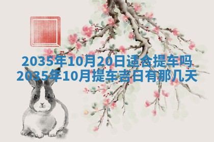 崔姓2026年02月27日出生的女孩子命理分析与起名攻略