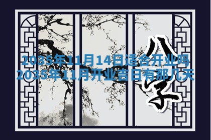 夏姓男宝宝名字精选：2026年02月03日生辰八字起名技巧