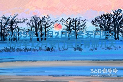 夏姓男宝宝名字精选：2026年02月03日生辰八字起名技巧