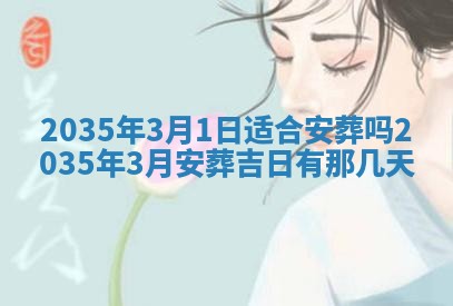 夏姓男宝宝名字精选：2026年02月03日生辰八字起名技巧