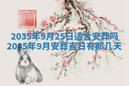 崔姓2026年02月27日出生的女孩子命理分析与起名攻略