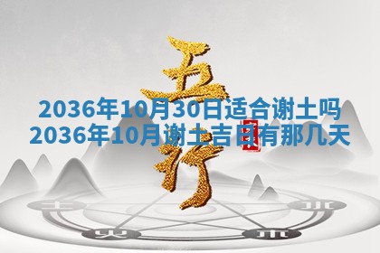 八字五行与贾姓：2026年02月02日出生女宝宝的理想名字分析