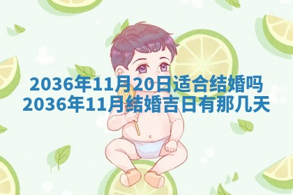 八字五行与贾姓：2026年02月02日出生女宝宝的理想名字分析