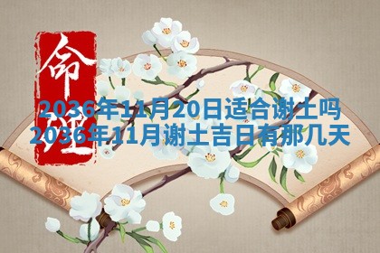 夏姓男宝宝名字精选：2026年02月03日生辰八字起名技巧