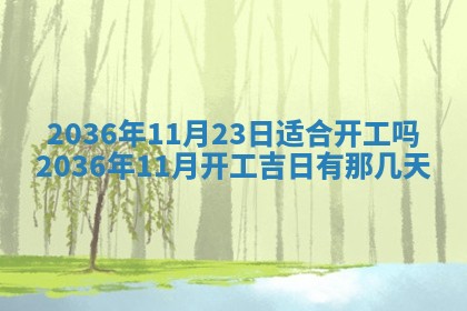 夏姓男宝宝名字精选：2026年02月03日生辰八字起名技巧