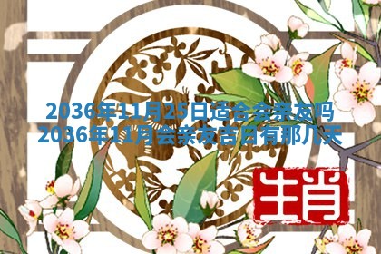 夏姓男宝宝名字精选：2026年02月03日生辰八字起名技巧