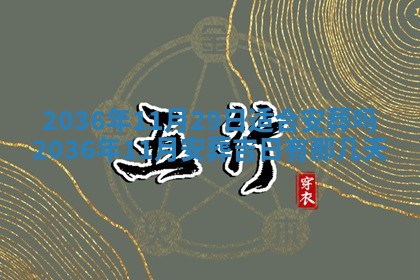 八字五行与贾姓：2026年02月02日出生女宝宝的理想名字分析