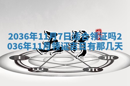 夏姓男宝宝名字精选：2026年02月03日生辰八字起名技巧