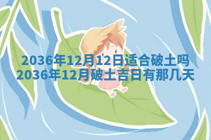 夏姓男宝宝名字精选：2026年02月03日生辰八字起名技巧