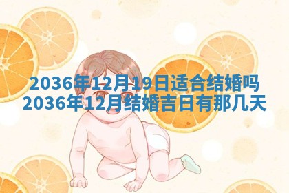 八字五行与贾姓：2026年02月02日出生女宝宝的理想名字分析