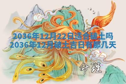 八字五行与贾姓：2026年02月02日出生女宝宝的理想名字分析