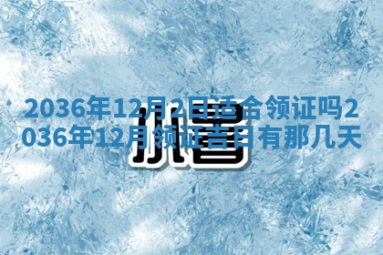 夏姓男宝宝名字精选：2026年02月03日生辰八字起名技巧