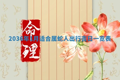 夏姓男宝宝名字精选：2026年02月03日生辰八字起名技巧