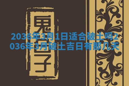 夏姓男宝宝名字精选：2026年02月03日生辰八字起名技巧